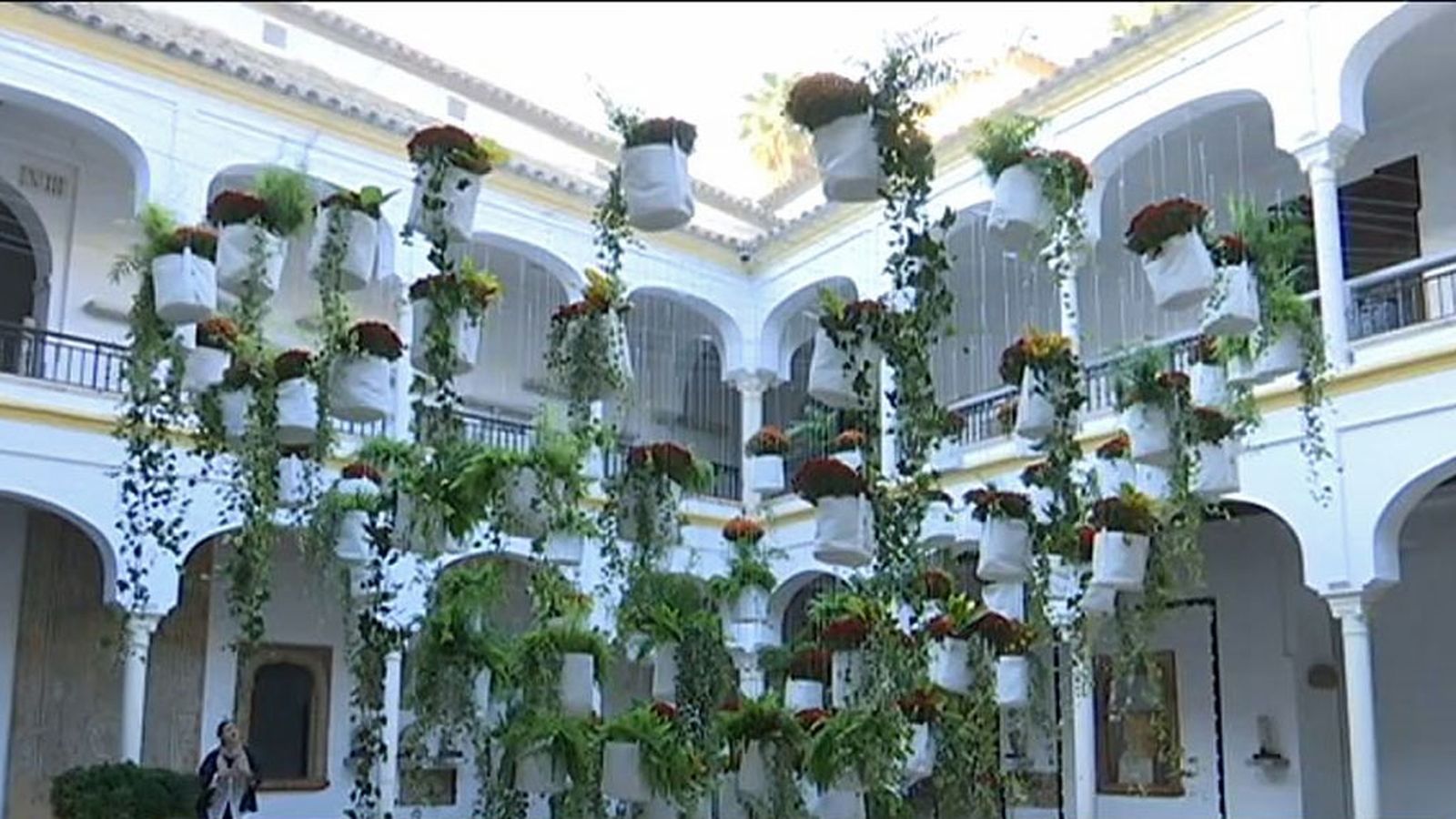 flora cordoba