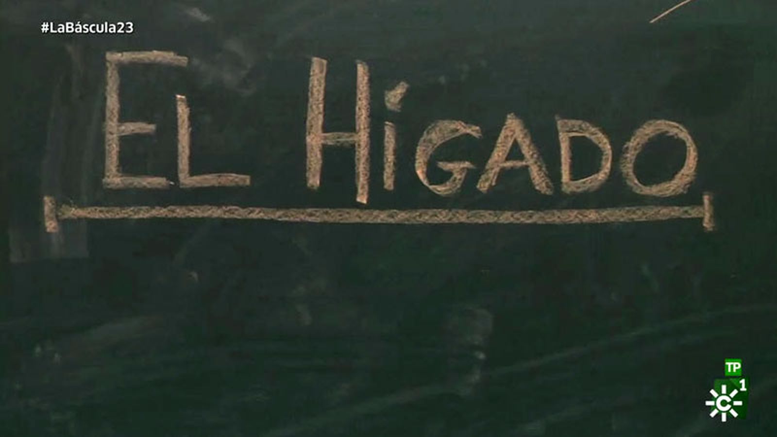 bascula 23 higado graso