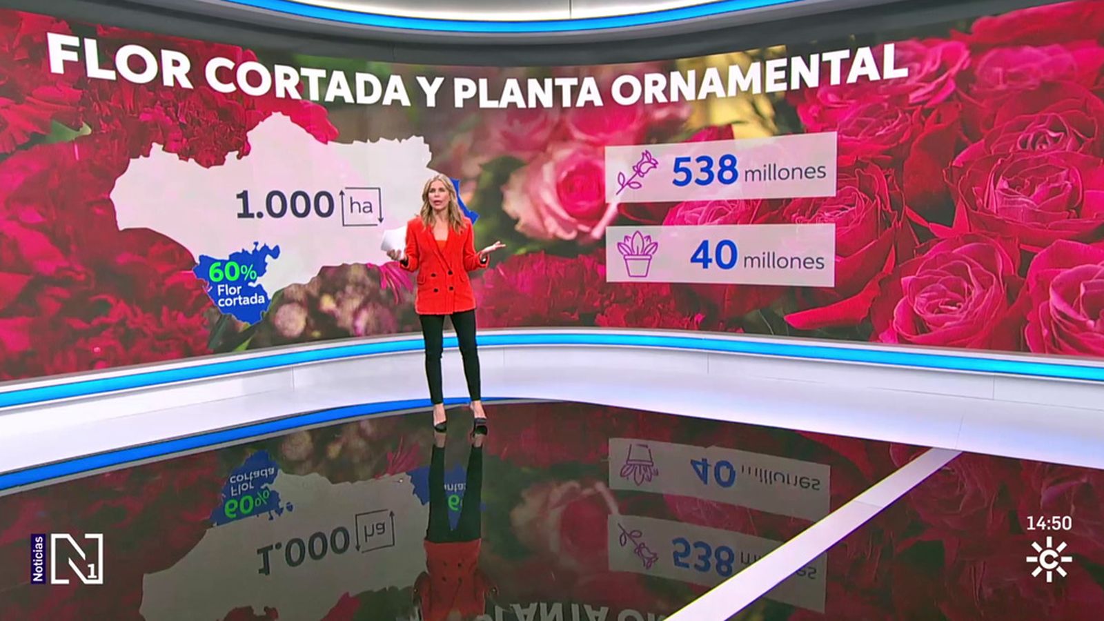 Flores de Andalucía para el Día de la Madre