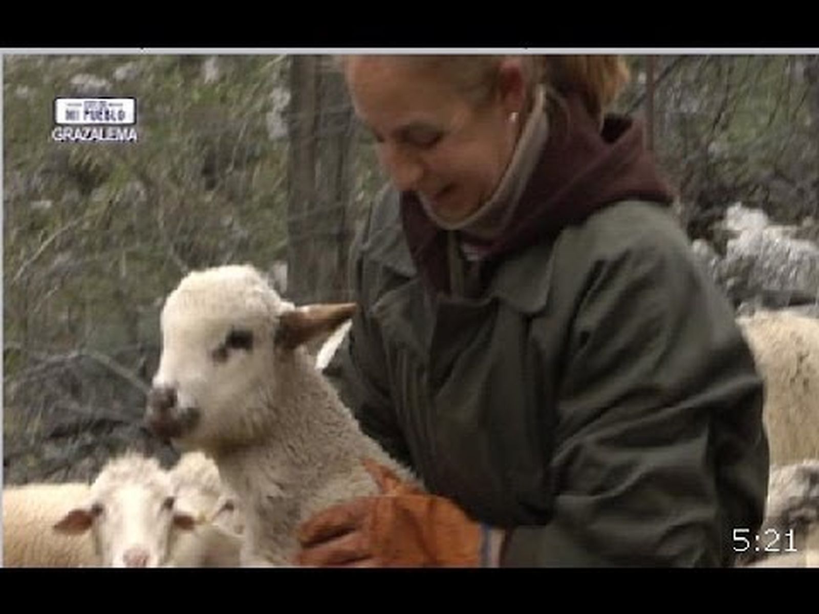 Las ovejas merinas de Francisca García, mujer empresaria en el mundo rural y Medalla de Andalucía