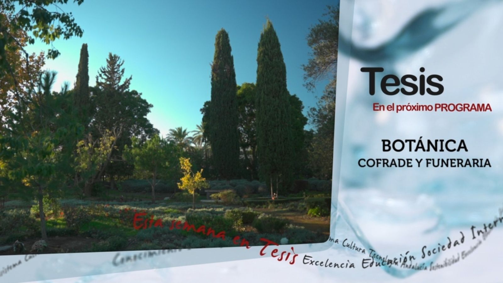 Tesis 20 diciembre