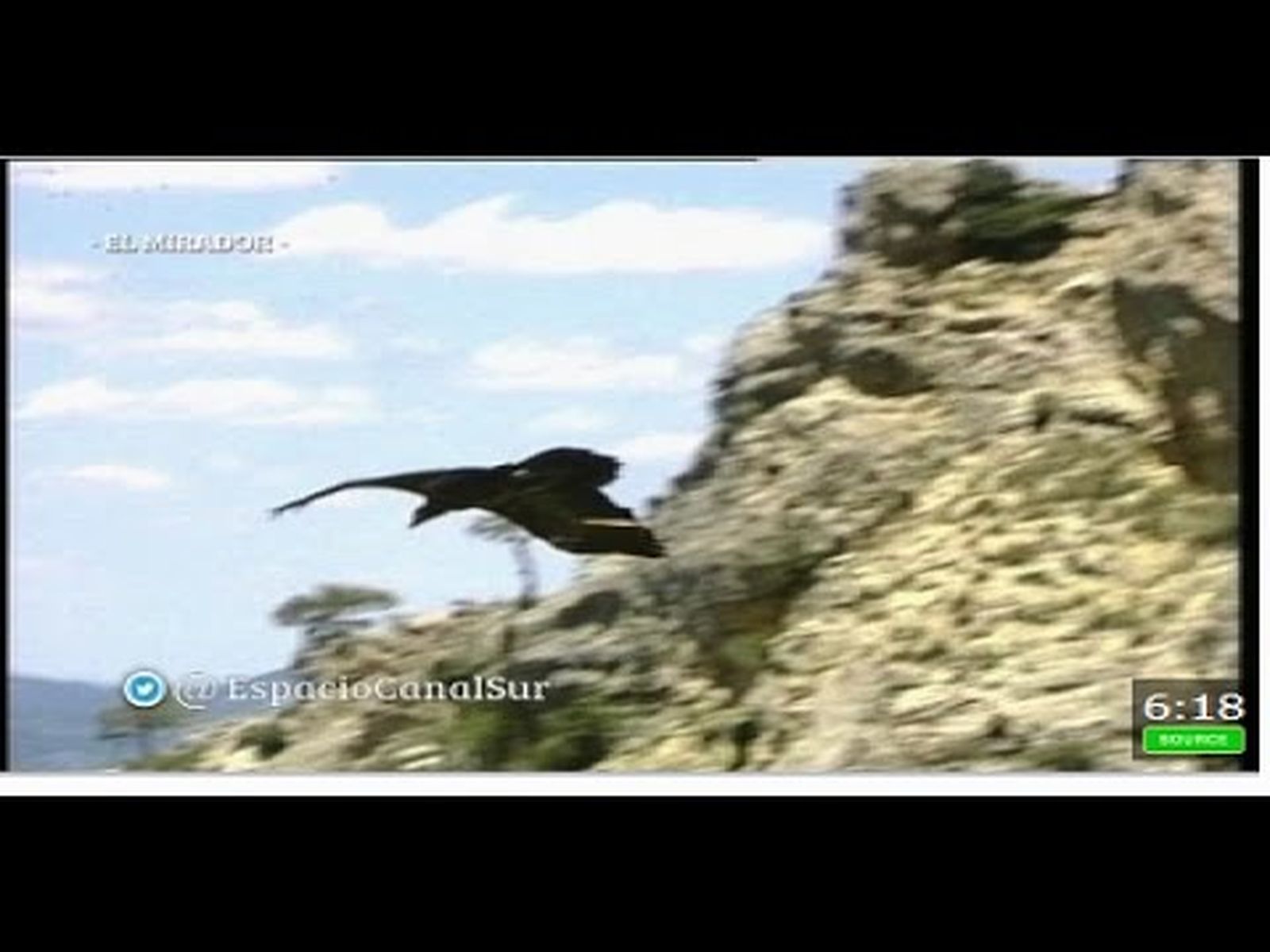 Quebrantahuesos: Parque Natural de Cazorla, Segura y las Villas de Jaén