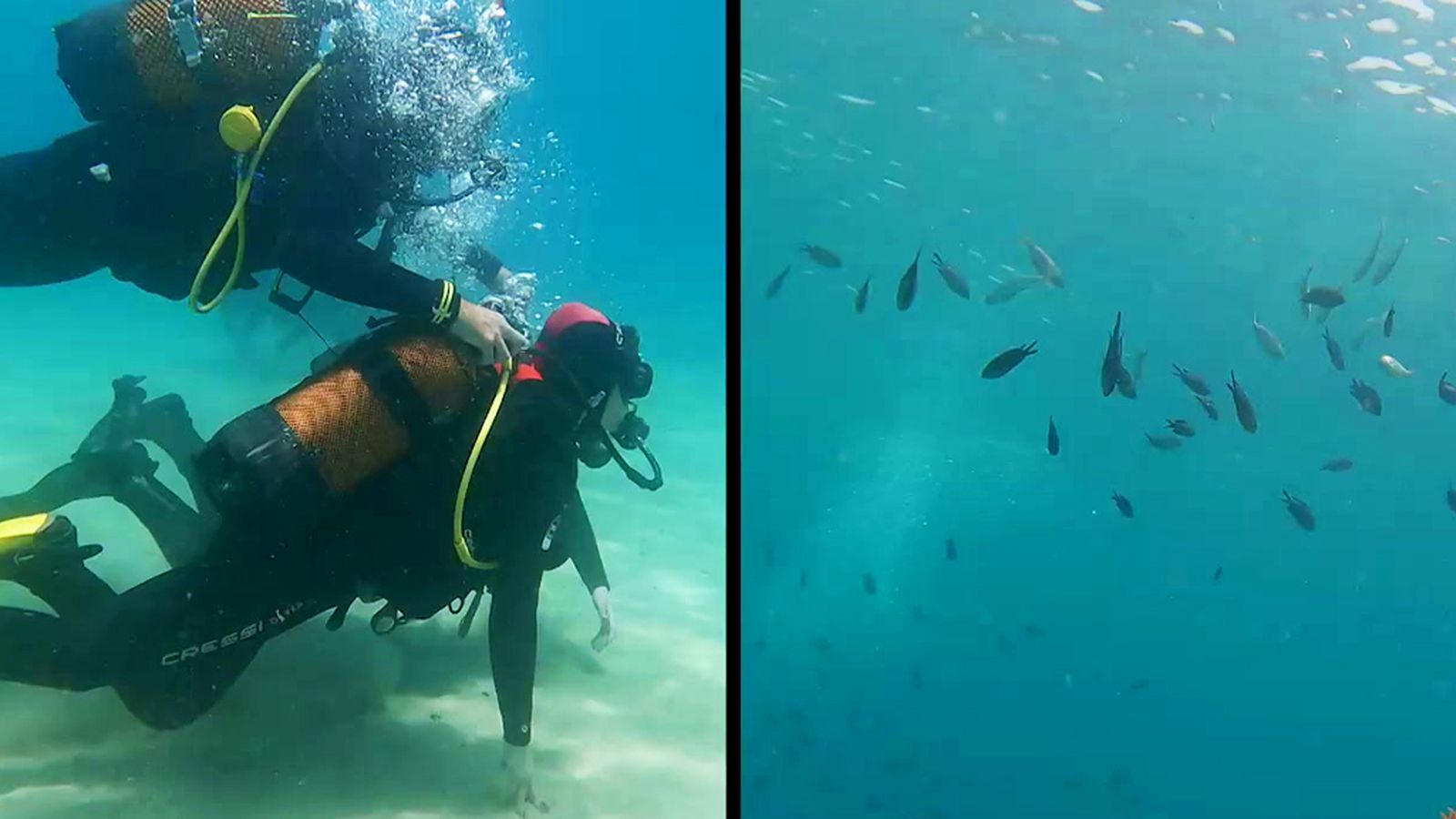 Nuria Martín busca la esencia de Tarifa hasta por sus fondos marinos