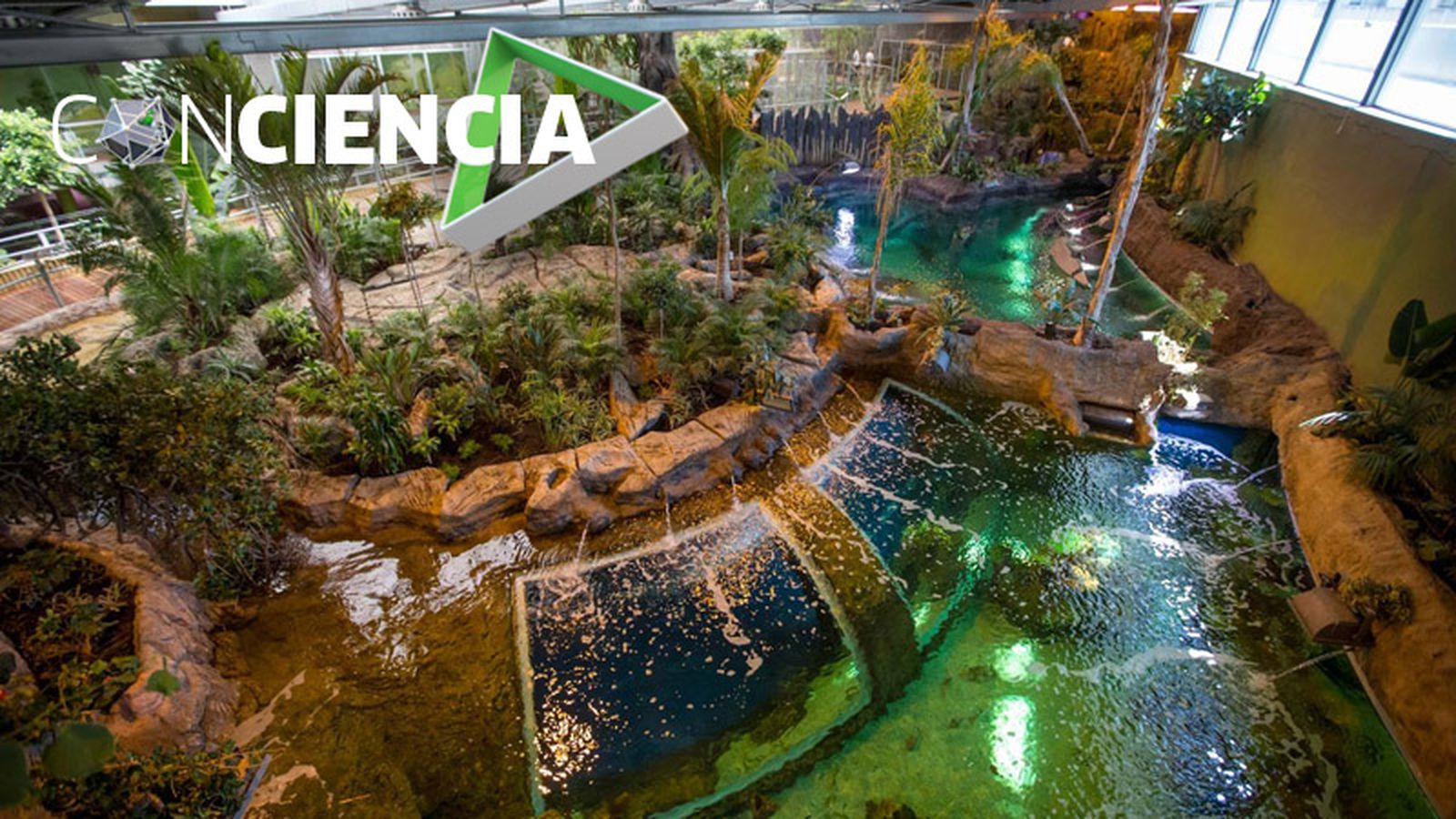 800x450 ConCiencia (Biodomo)