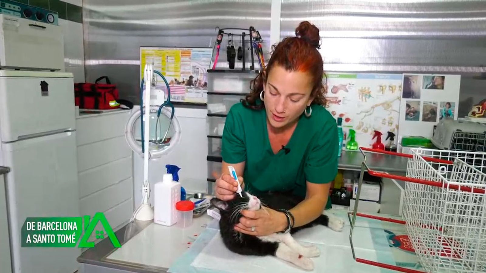 En Santo Tomé ha montado su propia clínica veterinaria