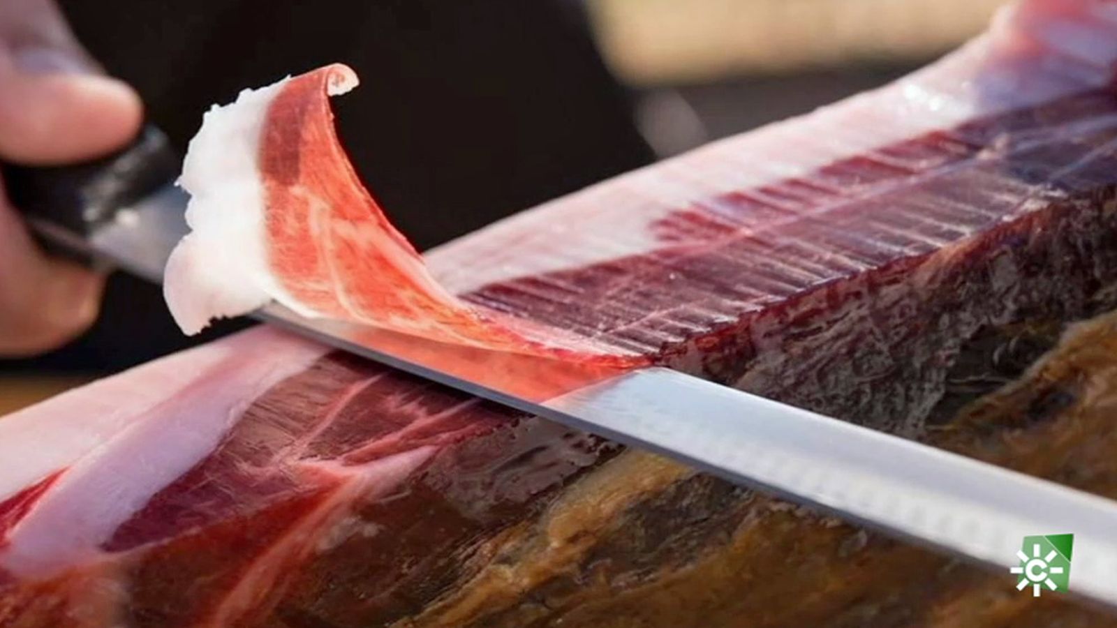 tapa jamon