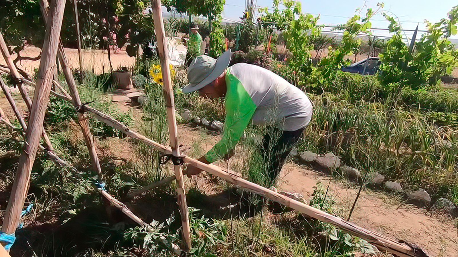 Los ecohuertos vecinales que revitalizan la vida en La Zubia