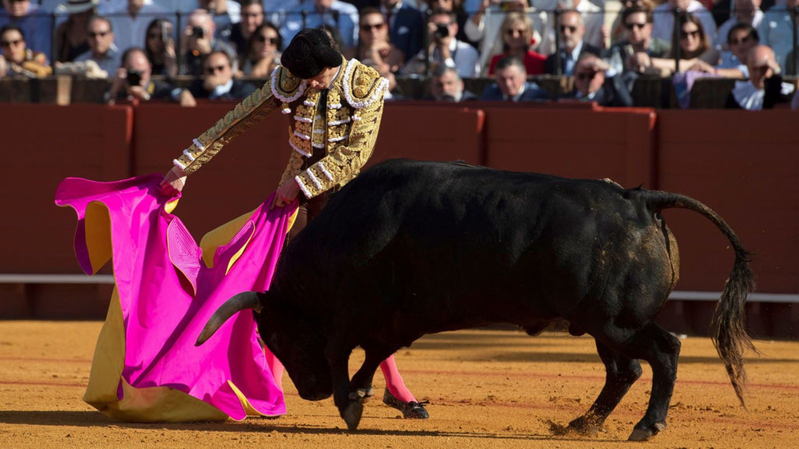 Sebastian Castella 1024