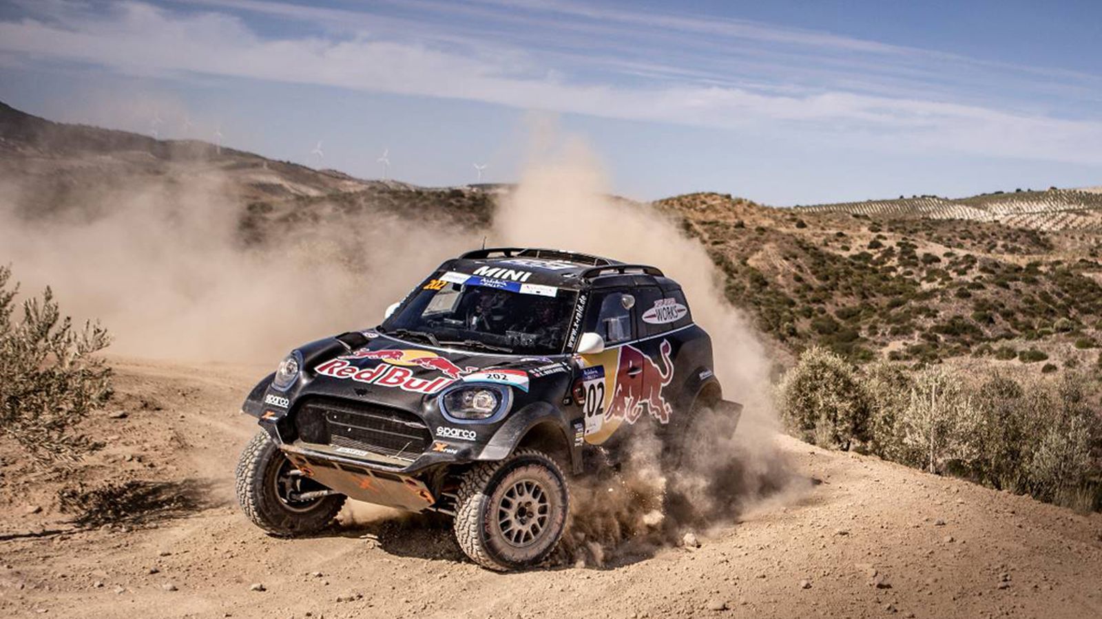 Rally OK TV