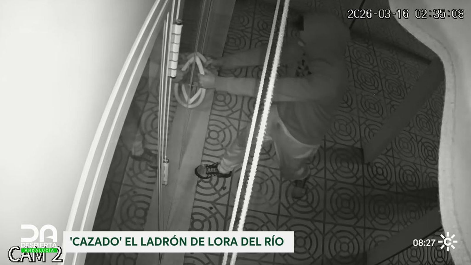 DETENIDO EL LADRÓN DE LORA DEL RÍO