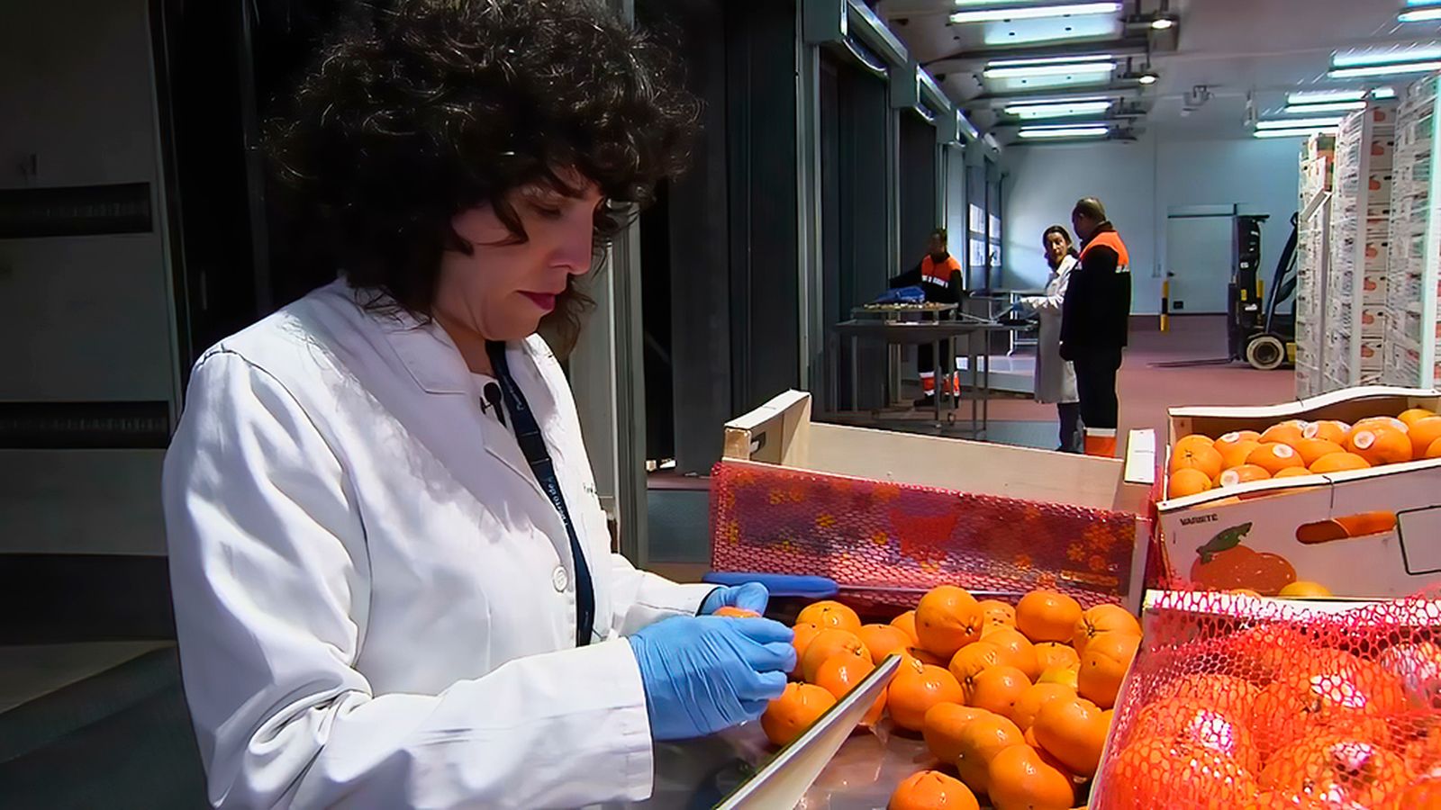 Alimentos de frontera
