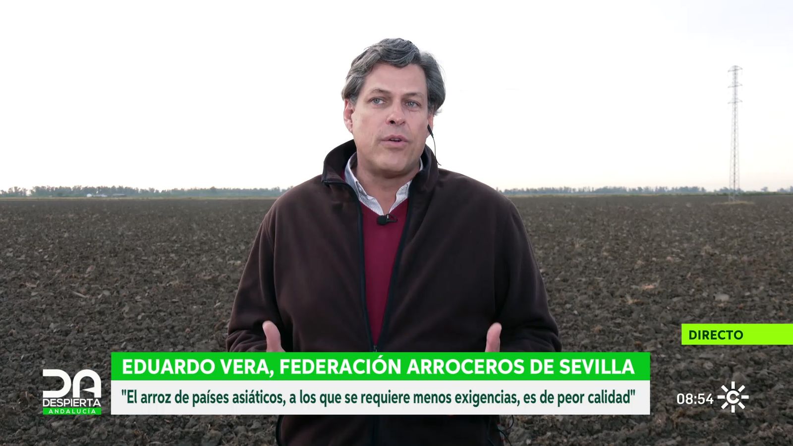 Los arroceros andaluces denuncian la competencia desleal del arroz asiático