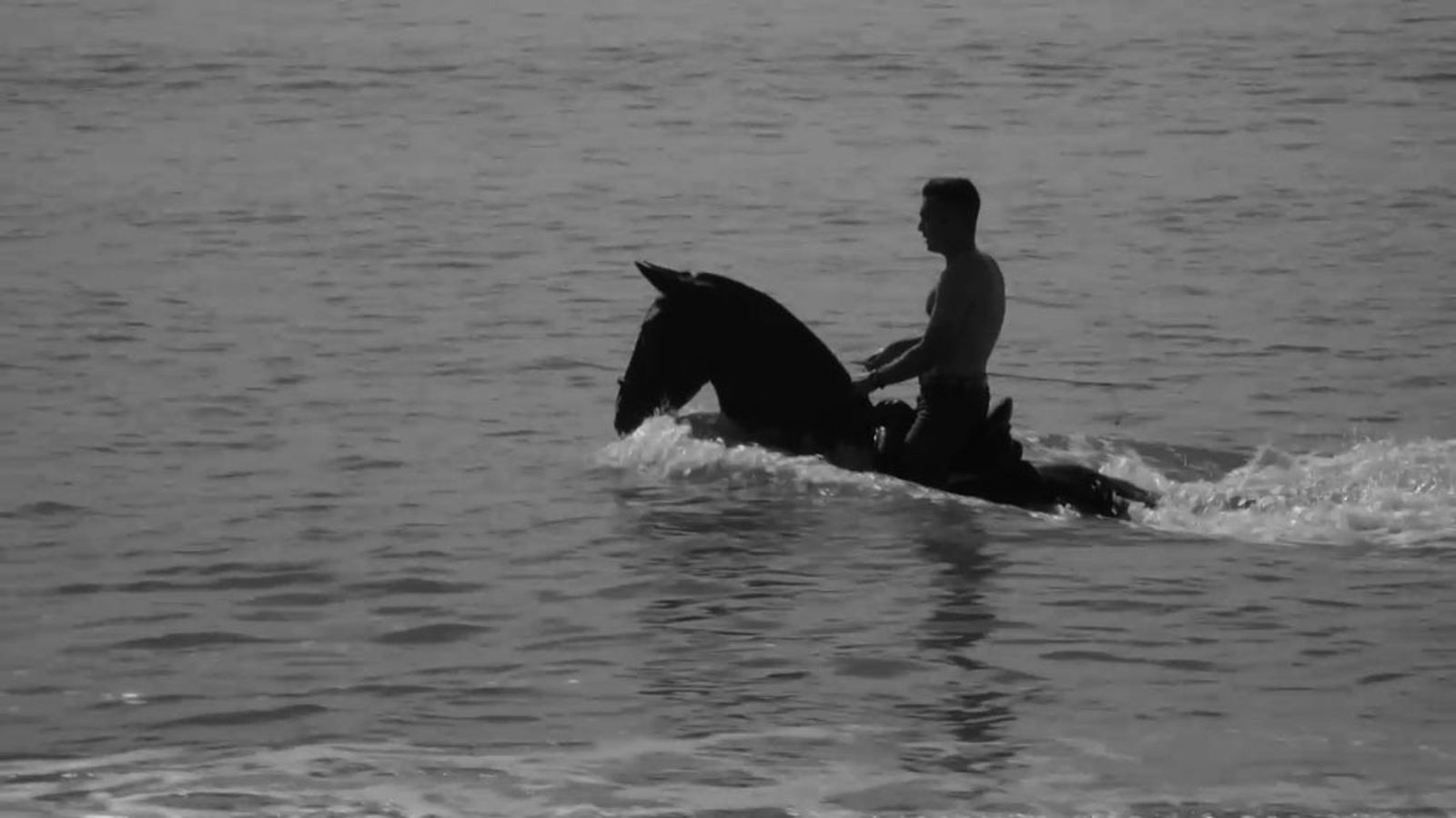 Los beneficios de la hidroterapia para los caballos de deporte