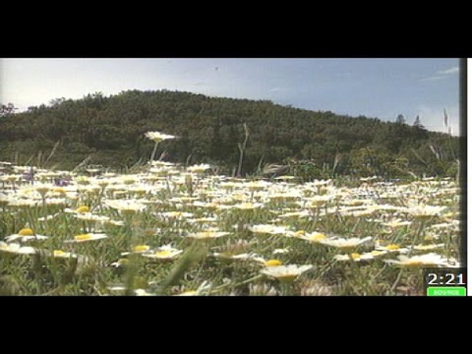 Sierra de las Nieves en Málaga: Reserva de la Biosfera de la Unesco