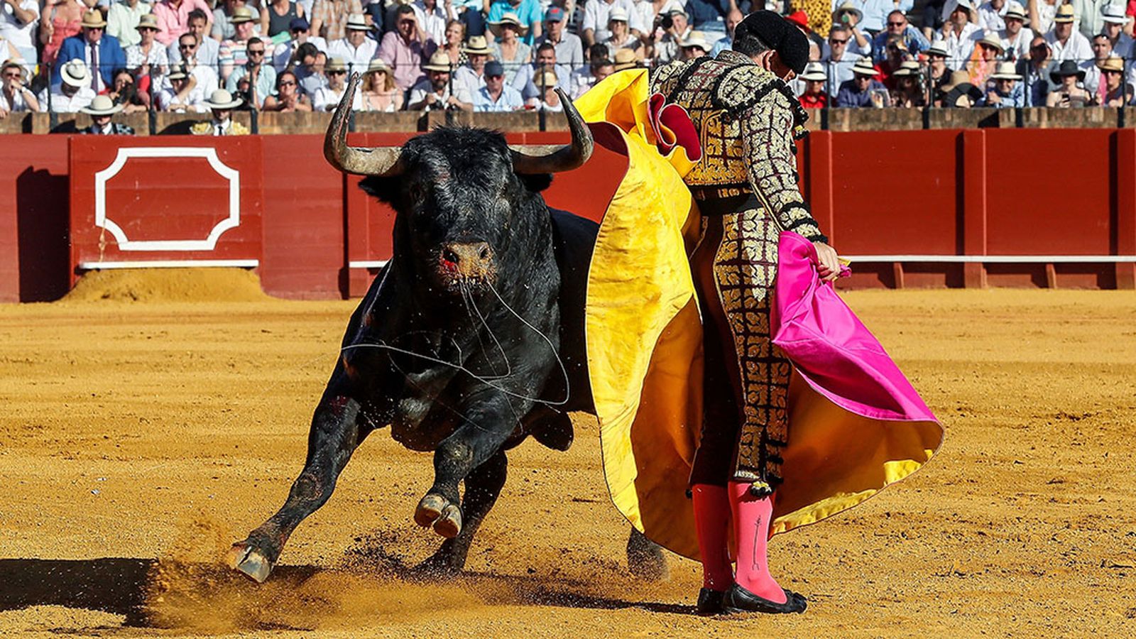 N1_Toros