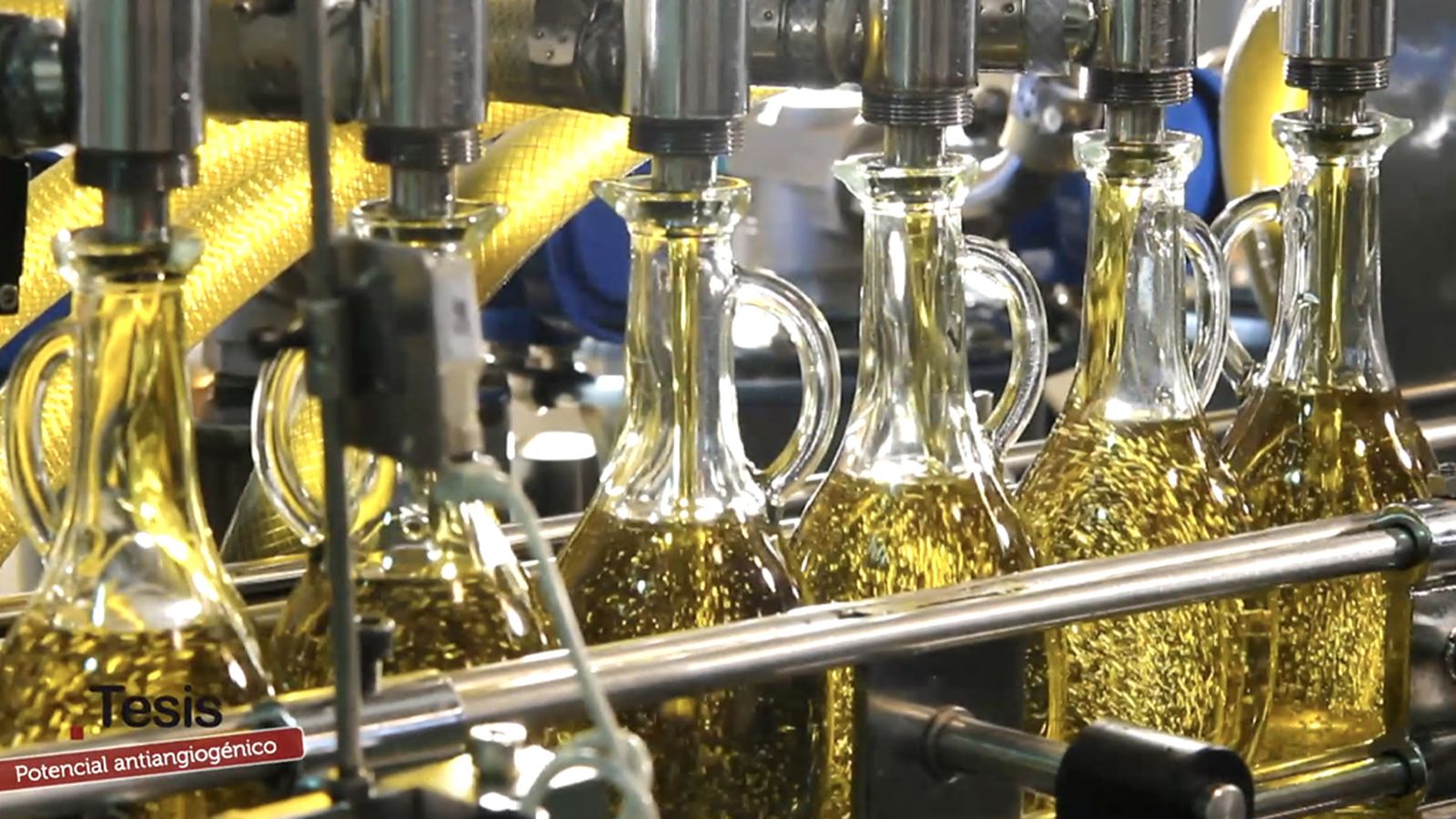 Aove, un alimento con potencial antiangiogénico