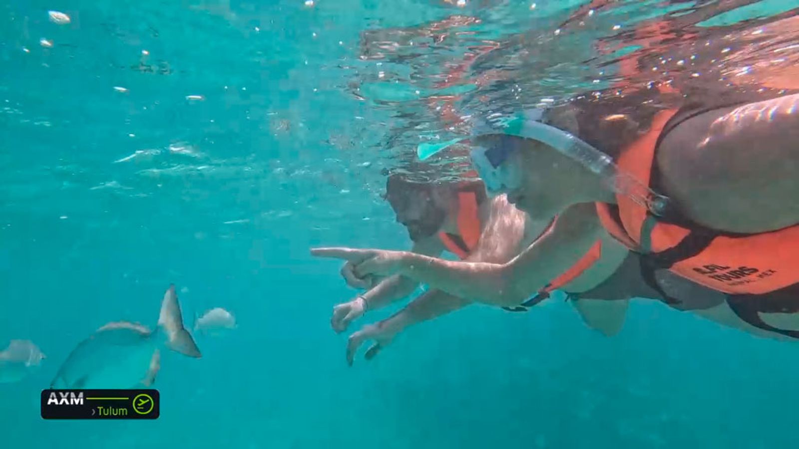 Marco nos lleva a observar tortugas marinas en su hábitat natural en Tulum, la costa caribeña de México