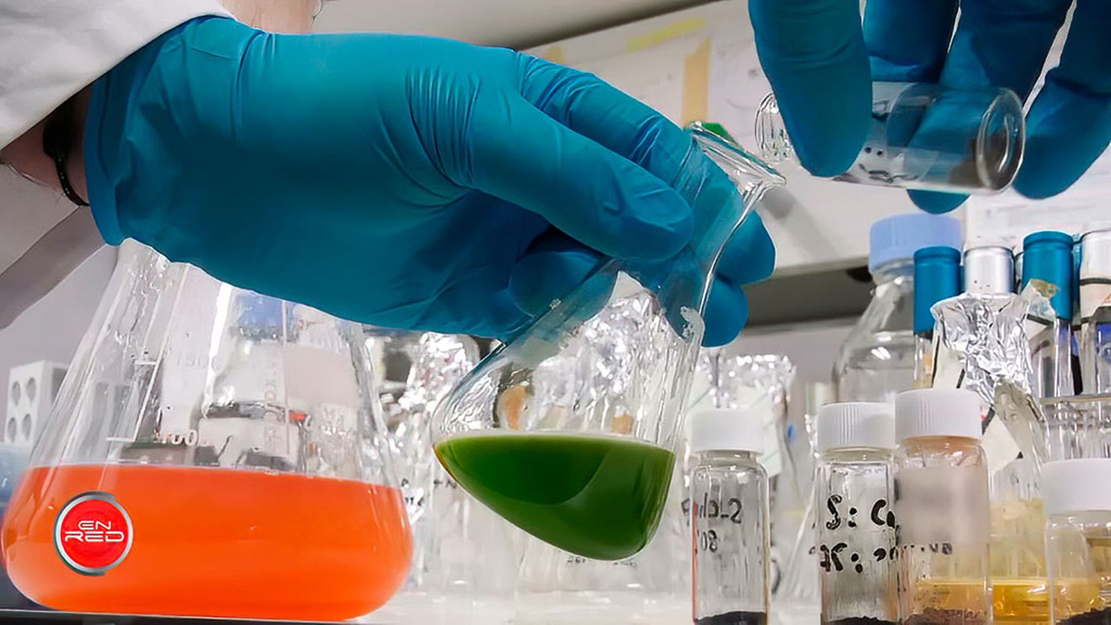 Microalgas para depurar agua contaminada con metales pesados