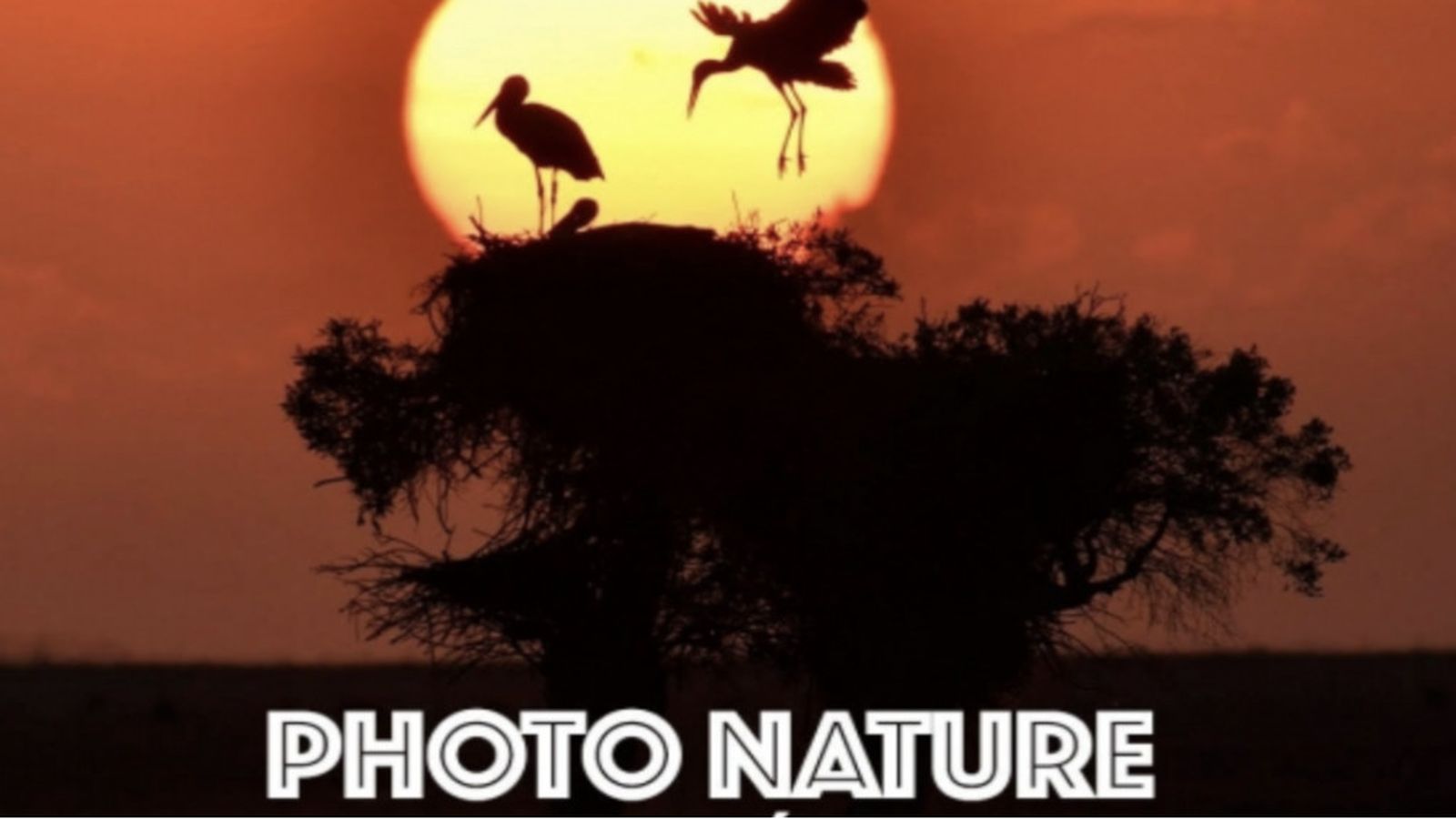 photo nature 2025