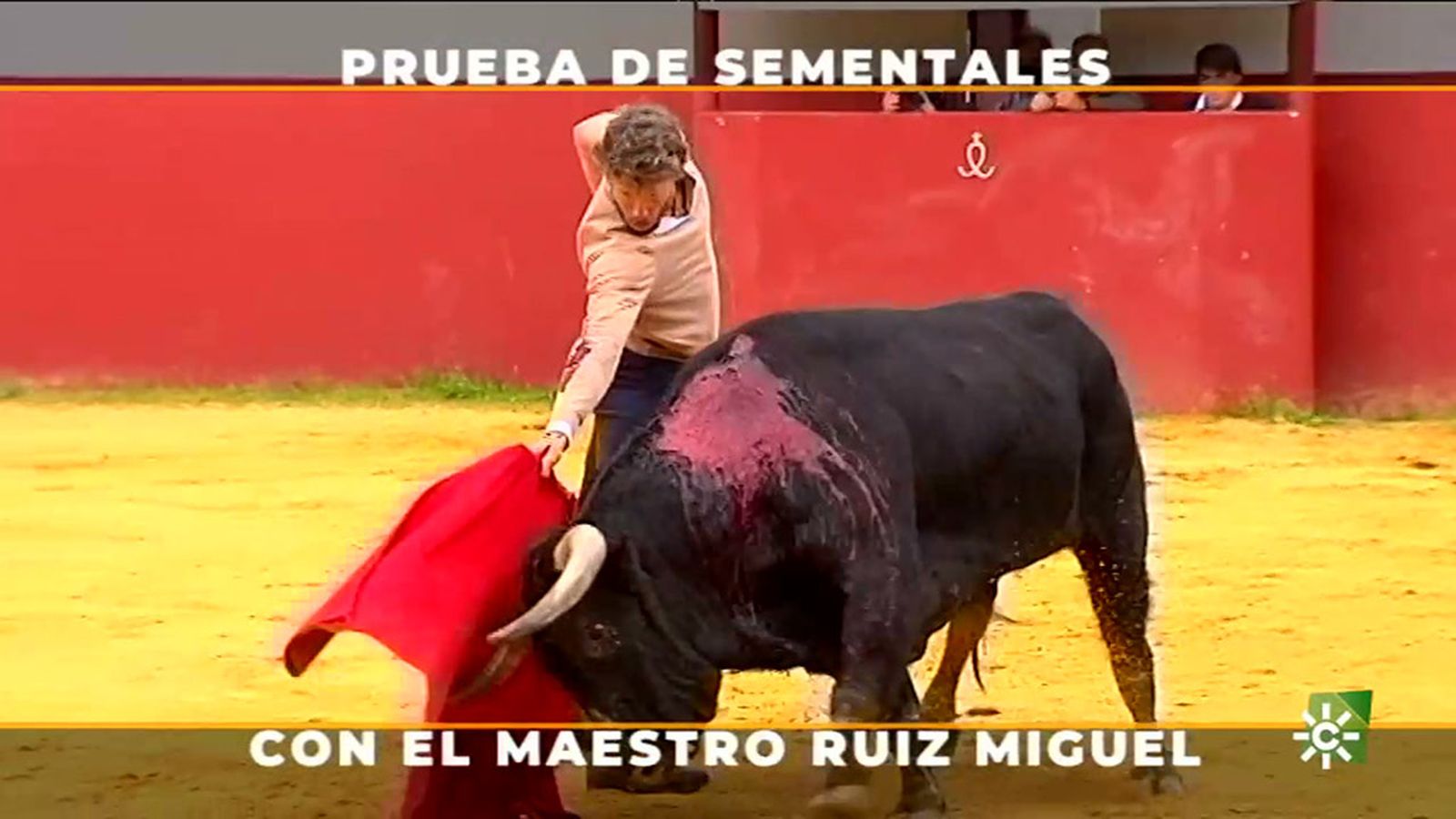 sementales