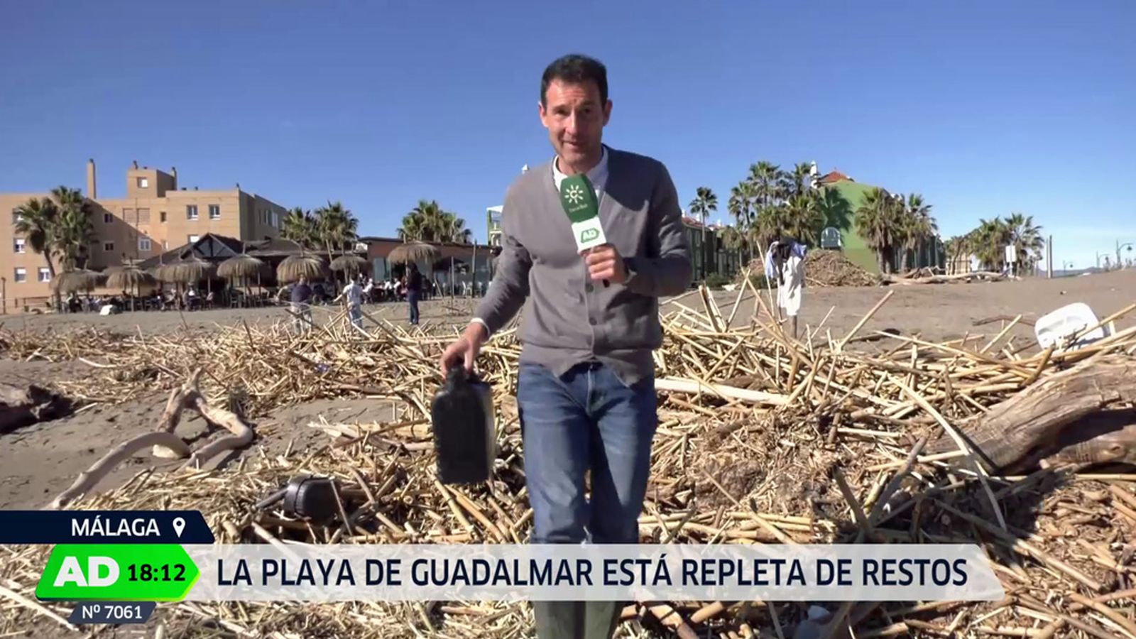 La borrasca deja una montaña de cañas y troncos en la playa malagueña de Guadalmar