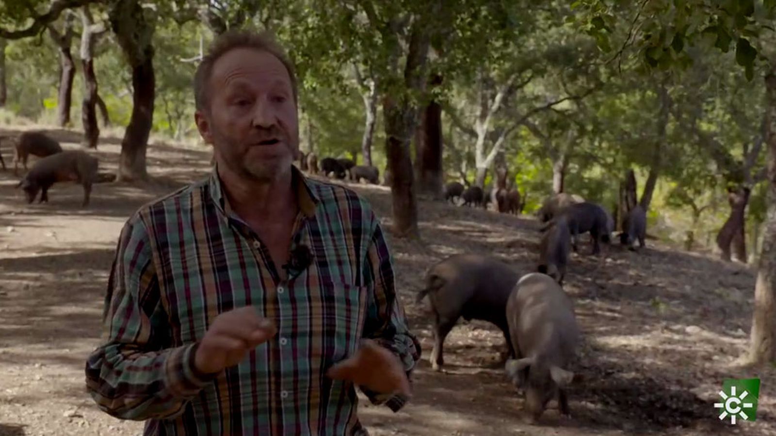 Manuel, un agricultor y ganadero que echó los dientes en el campo