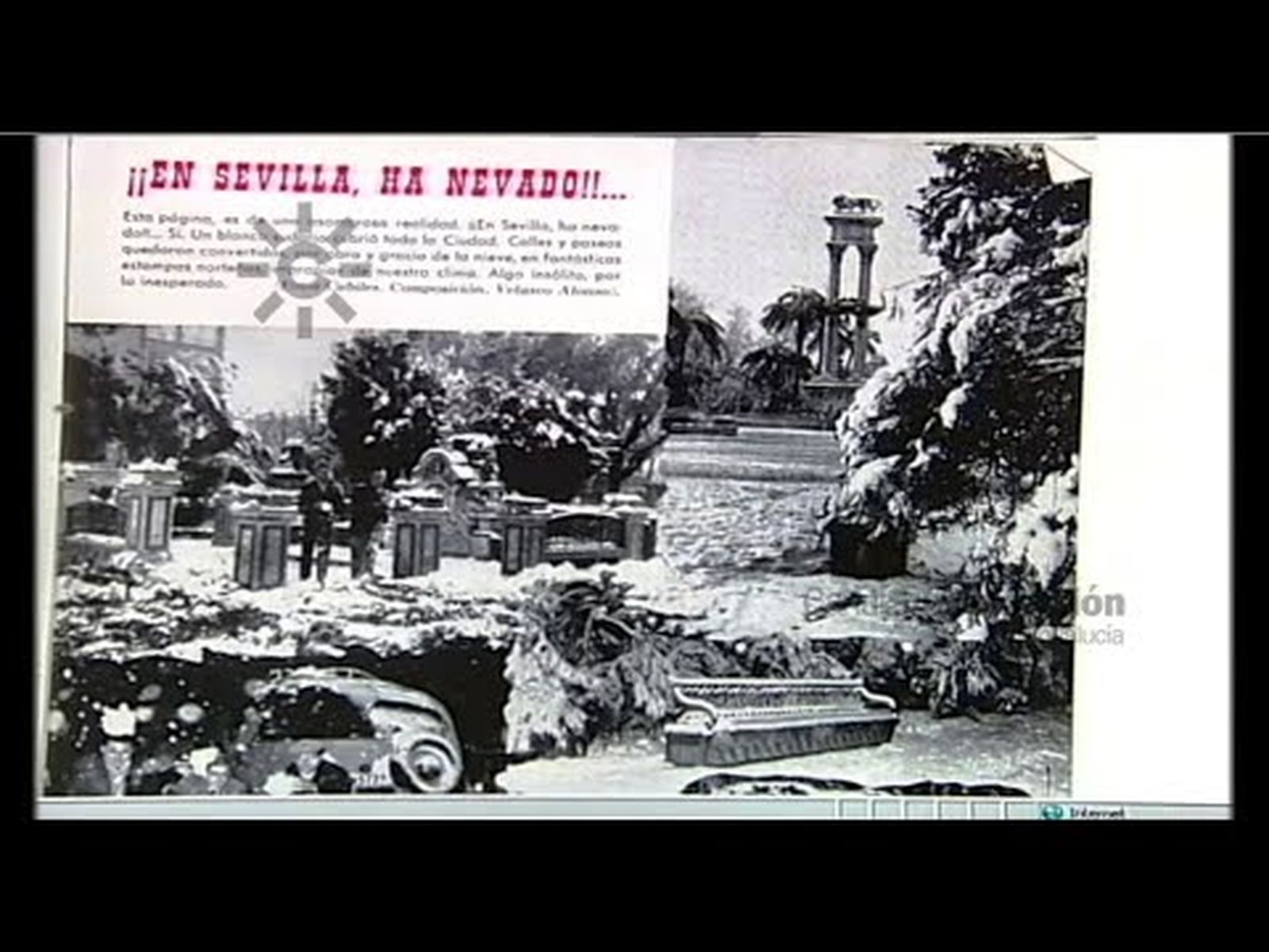 Nieve en Sevilla | La insólita nevada que vivieron los sevillanos en 1954