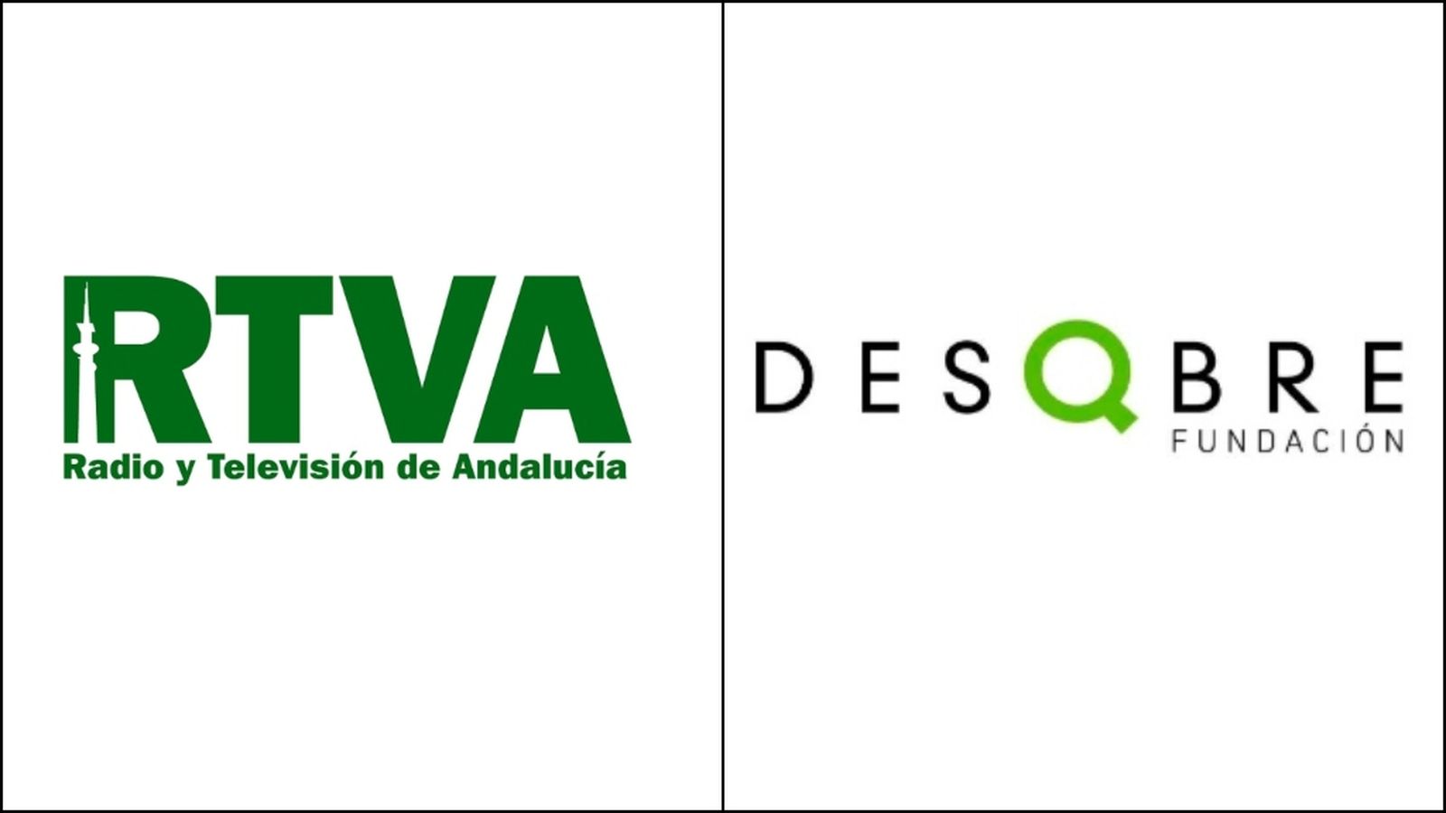 12_fundacion_descubre_collage