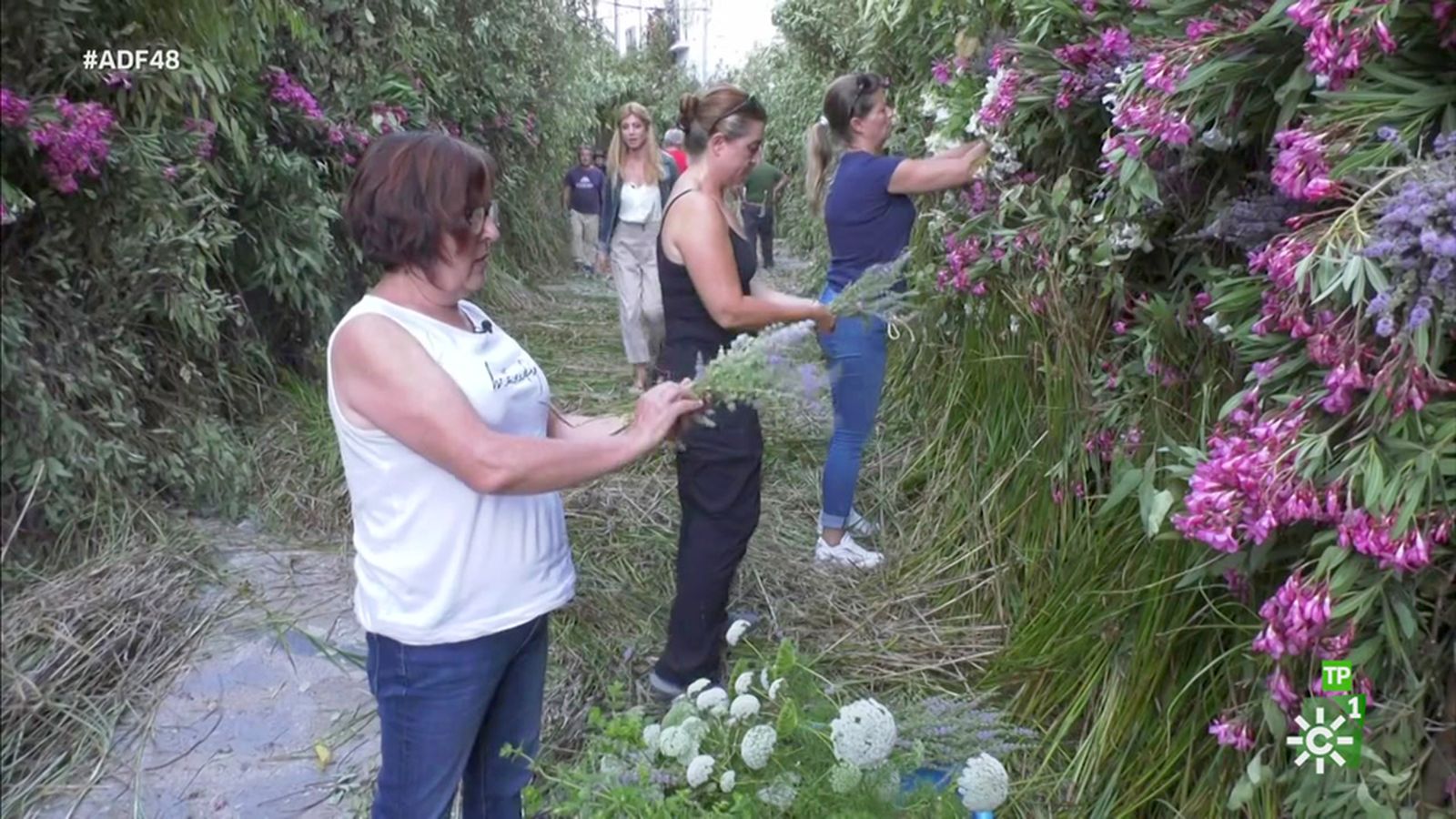 Zahara de la Sierra viste sus calles de verde y flores para el Corpus