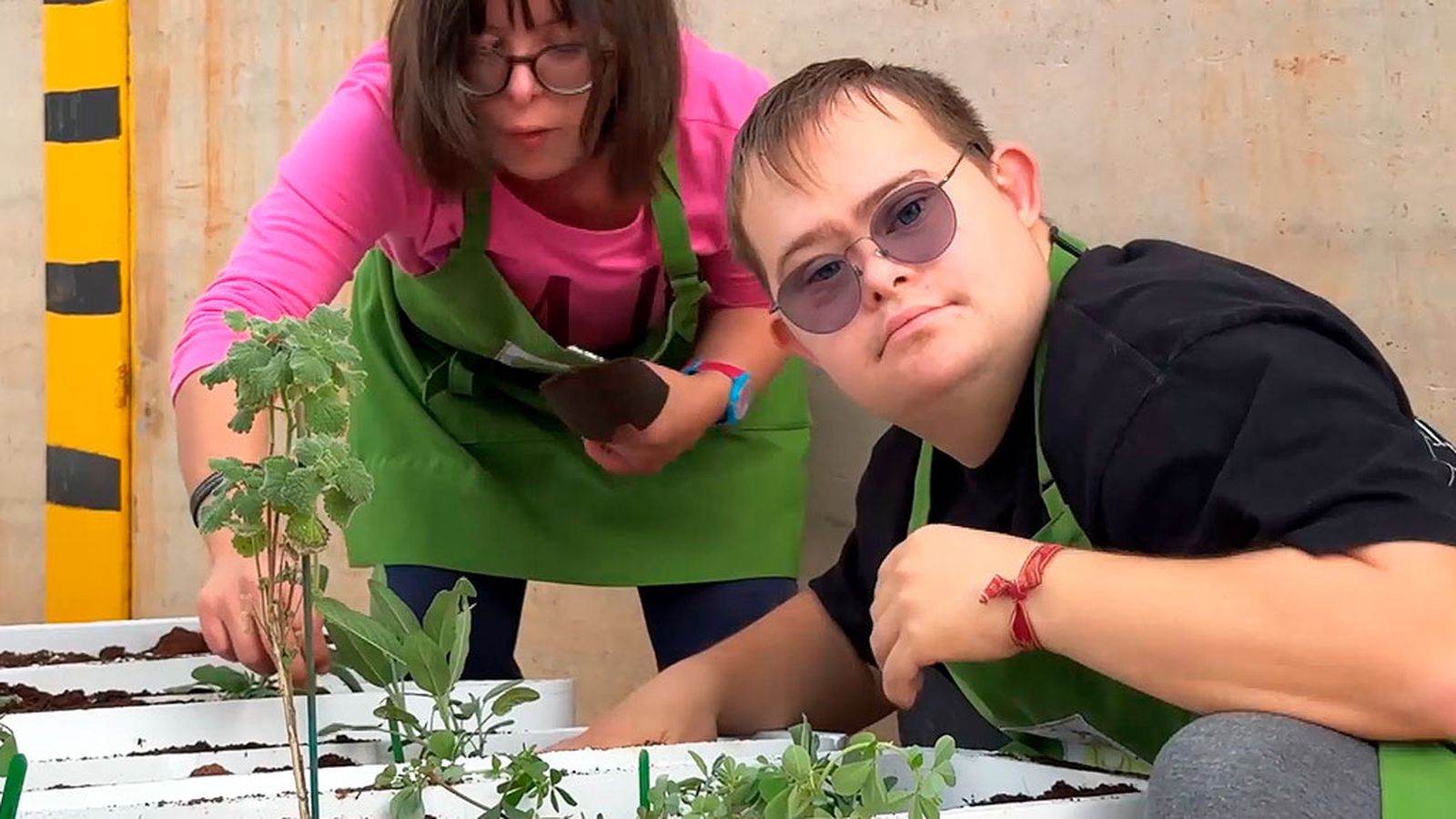 Una cooperativa agrícola de Almería fomenta la integración de personas con discapacidad intelectual o síndrome de Down