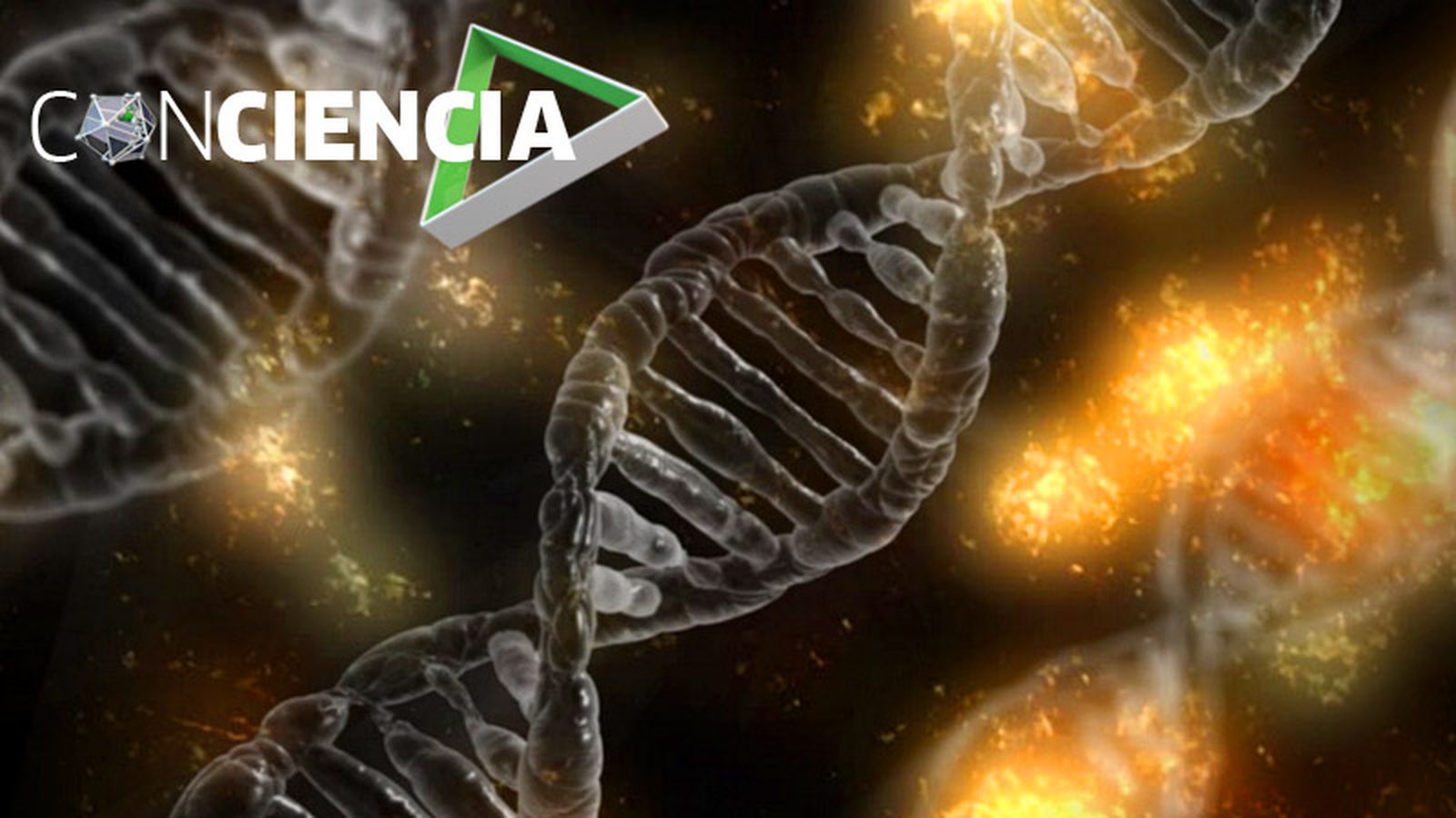 800x450 Conciencia (ADN 2)