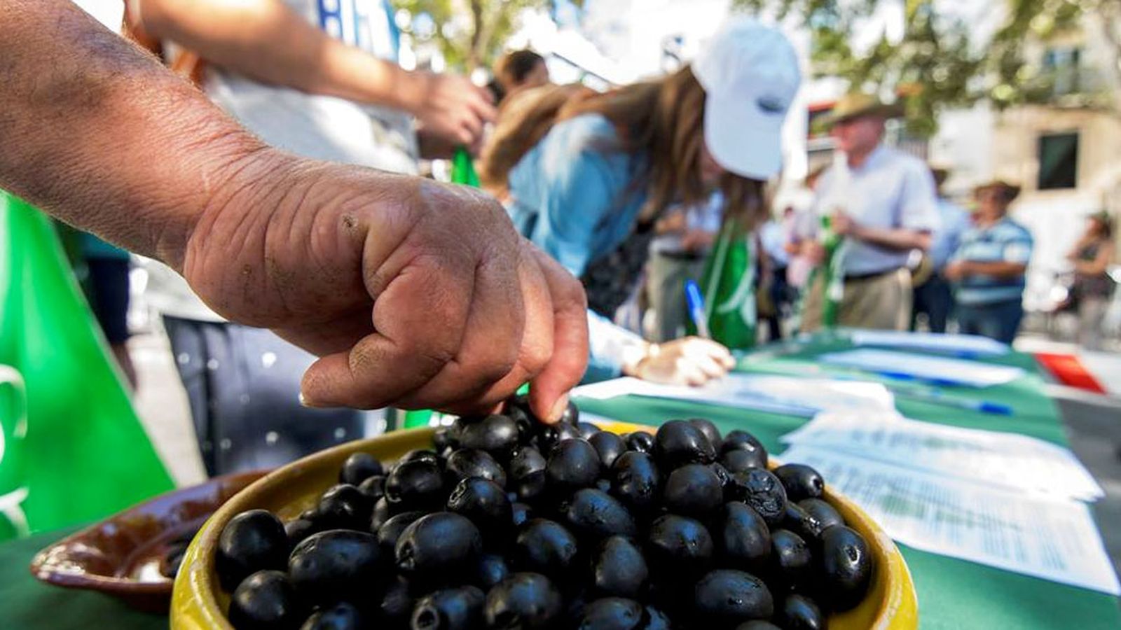 Tapa aceituna 10 negra