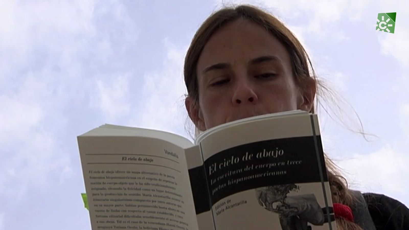 El cielo de abajo, una antología de 13 poetas lationoamericanas olvidadas