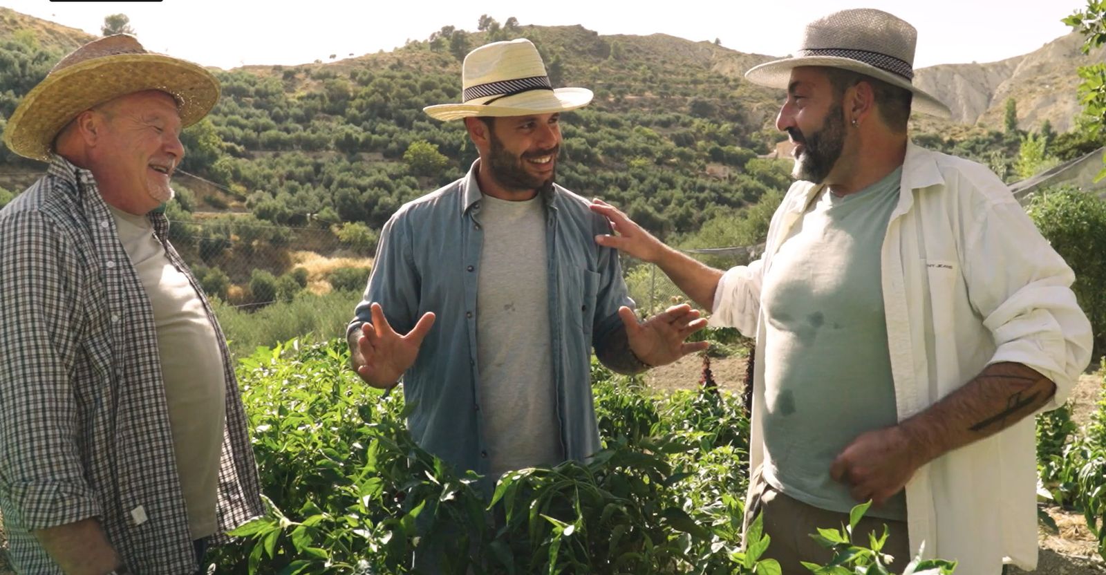 "Tierra de sabores"