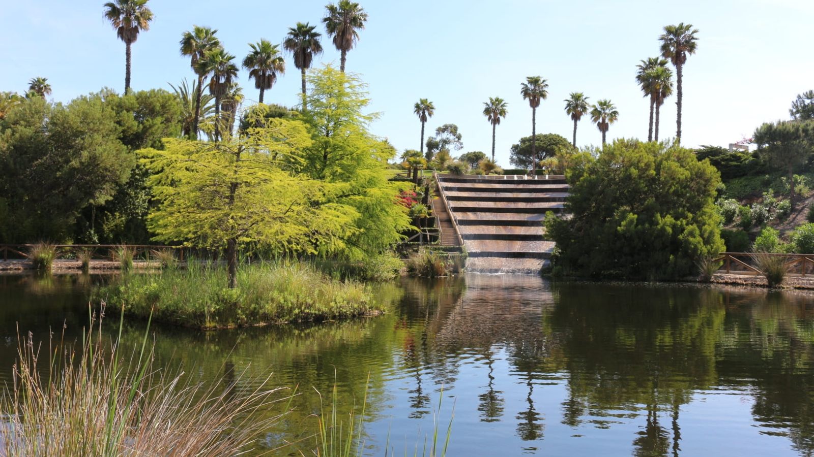 Jardín Botánico Celestino Mutis.