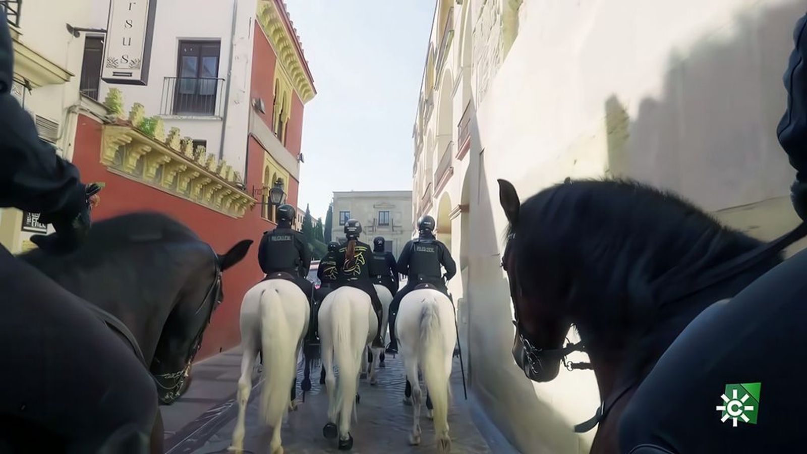 El día a día de la Unidad Especial de Caballería de la Policía Local de Córdoba