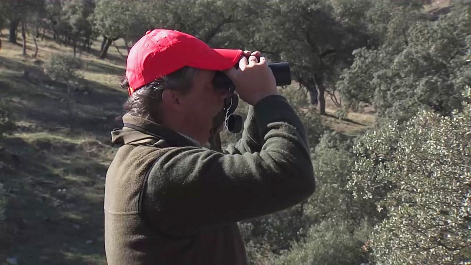 Una de las mejores monterías de jabalí de la temporada en la finca El Halcón