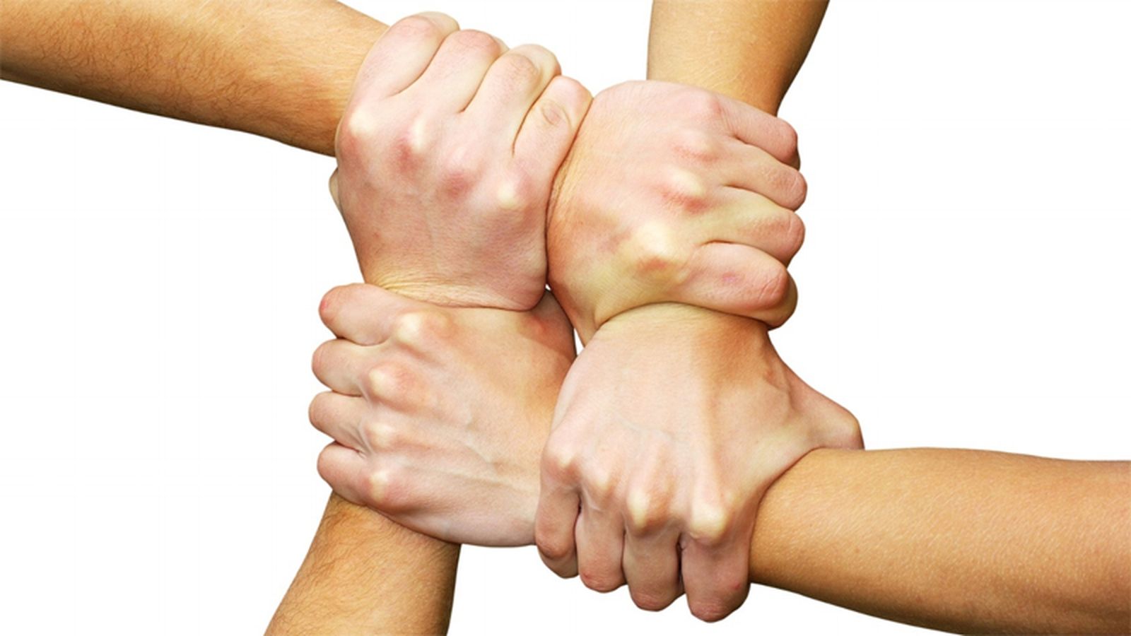 Solidarios