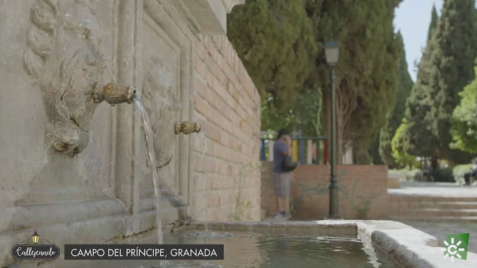 El campo del Príncipe en Granada debe su nombre a Juan, hijo de los Reyes Católicos
