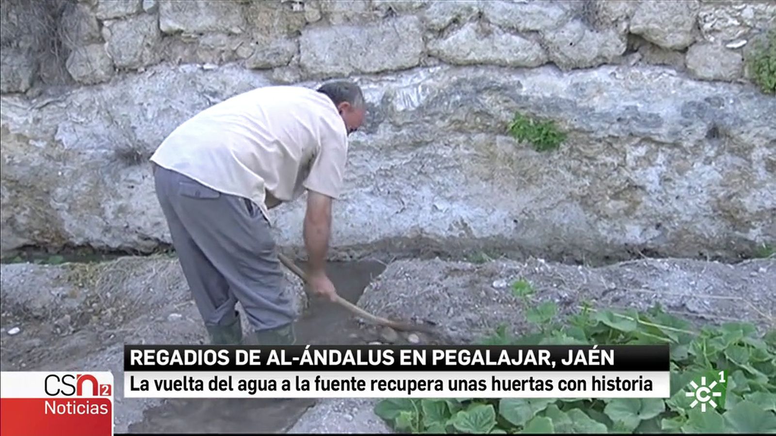 Pegalajar