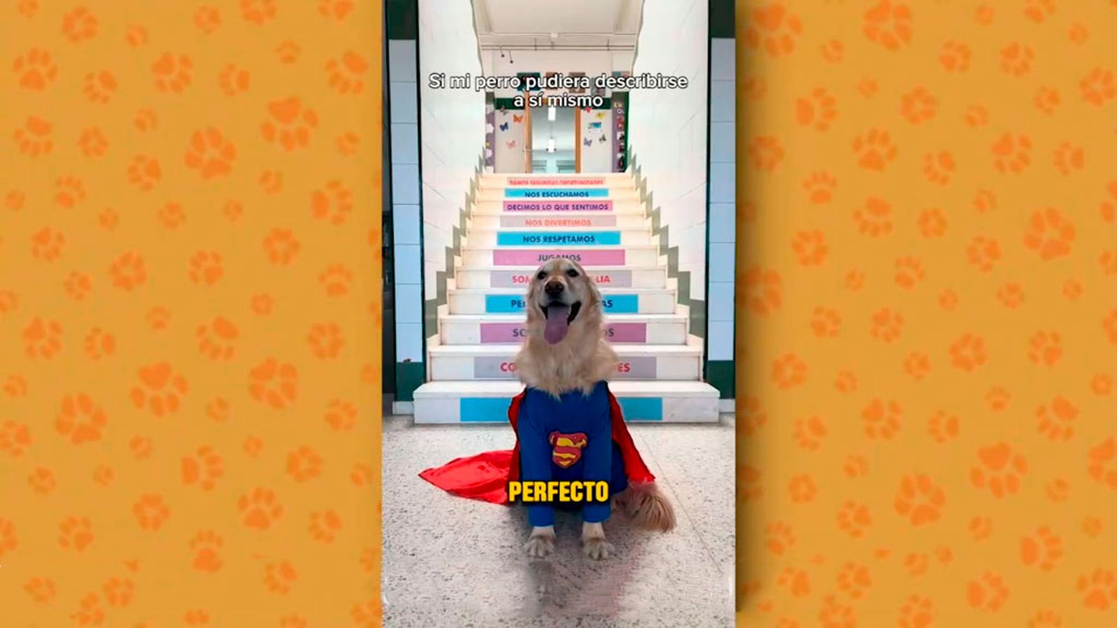 patas arriba balu superman 1024x576