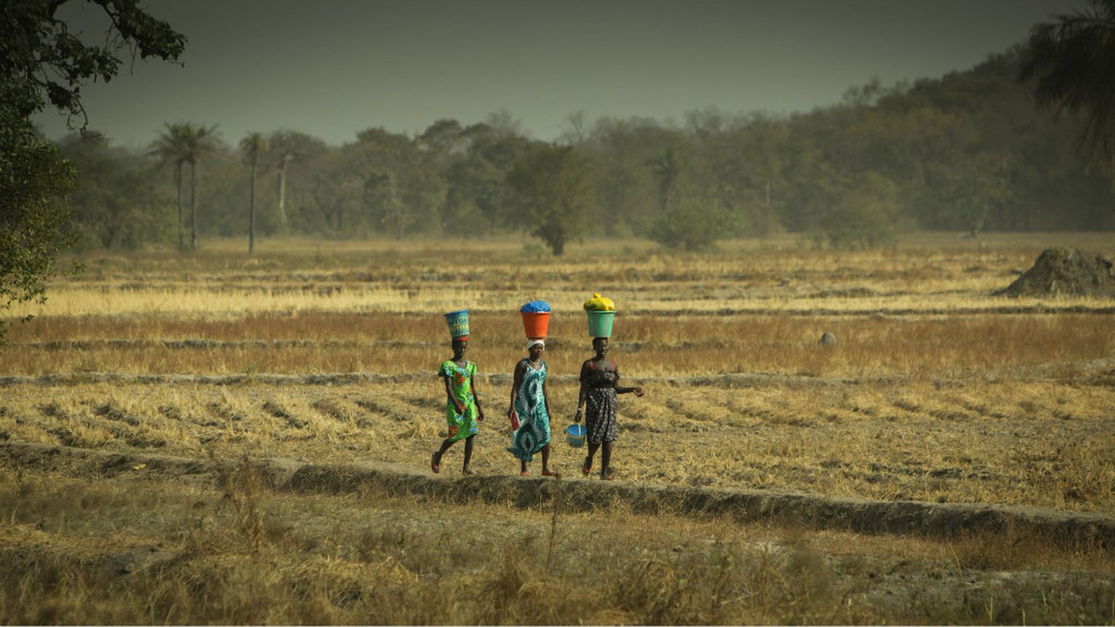 Africa es mujer serie documental