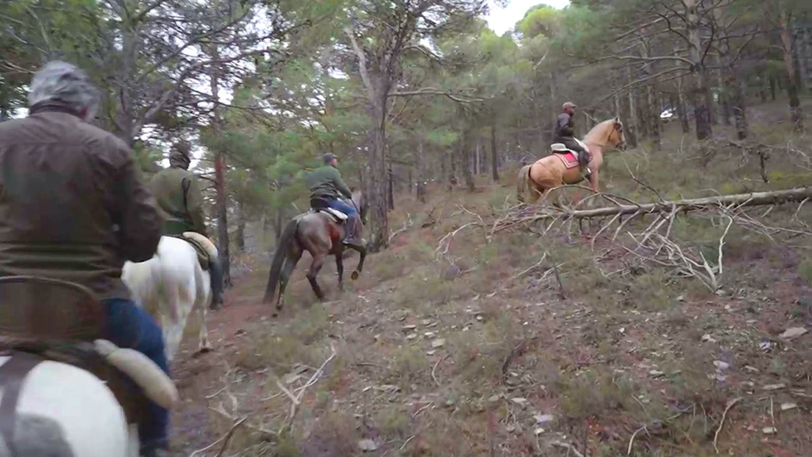 Las rutas a caballo por la Sierra Nevada de Almería son un paraíso por descubrir