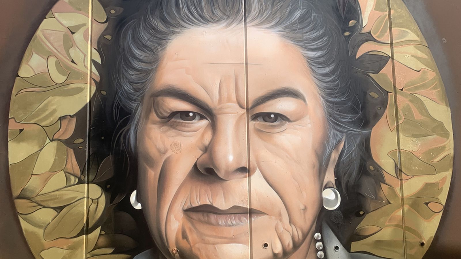 Dibujo La Paquera