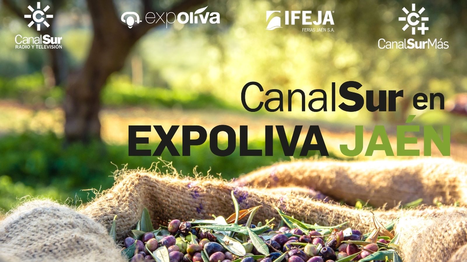 10_Pantalla_Expoliva