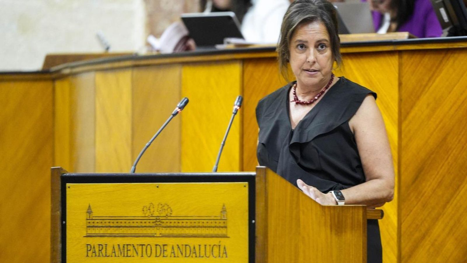 Parlamento, 14 julio