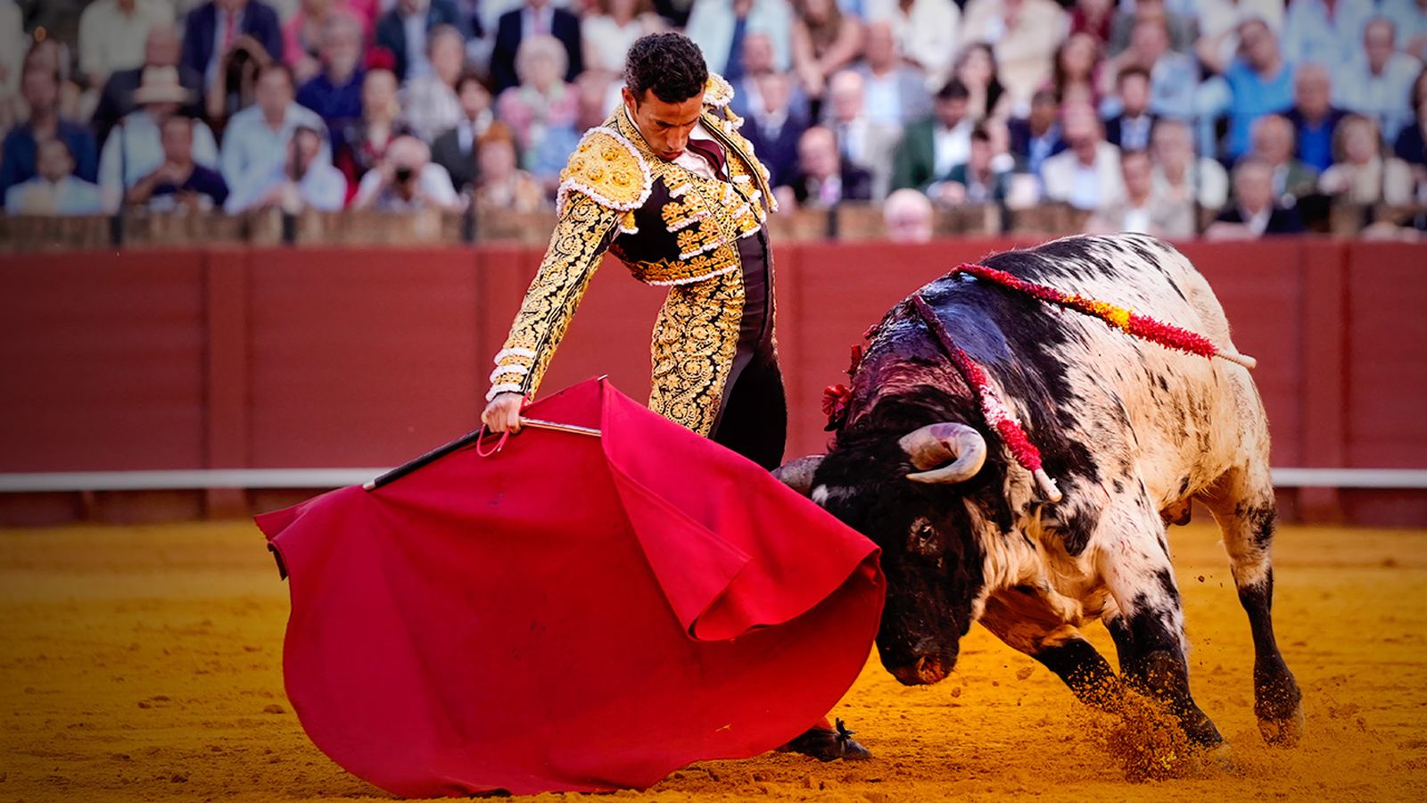 Toros desde Vera 1280x720