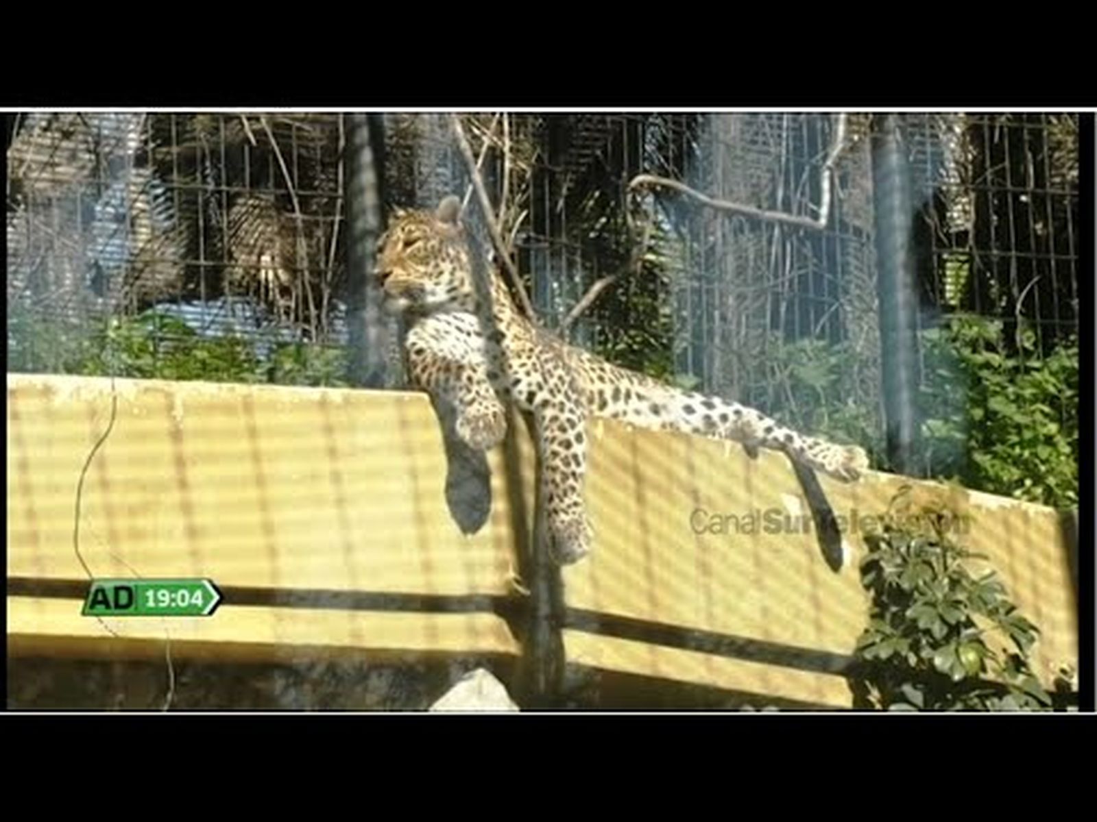 El Zoo de Jerez cumple 70 años siendo un referente en Andalucía, España y Europa