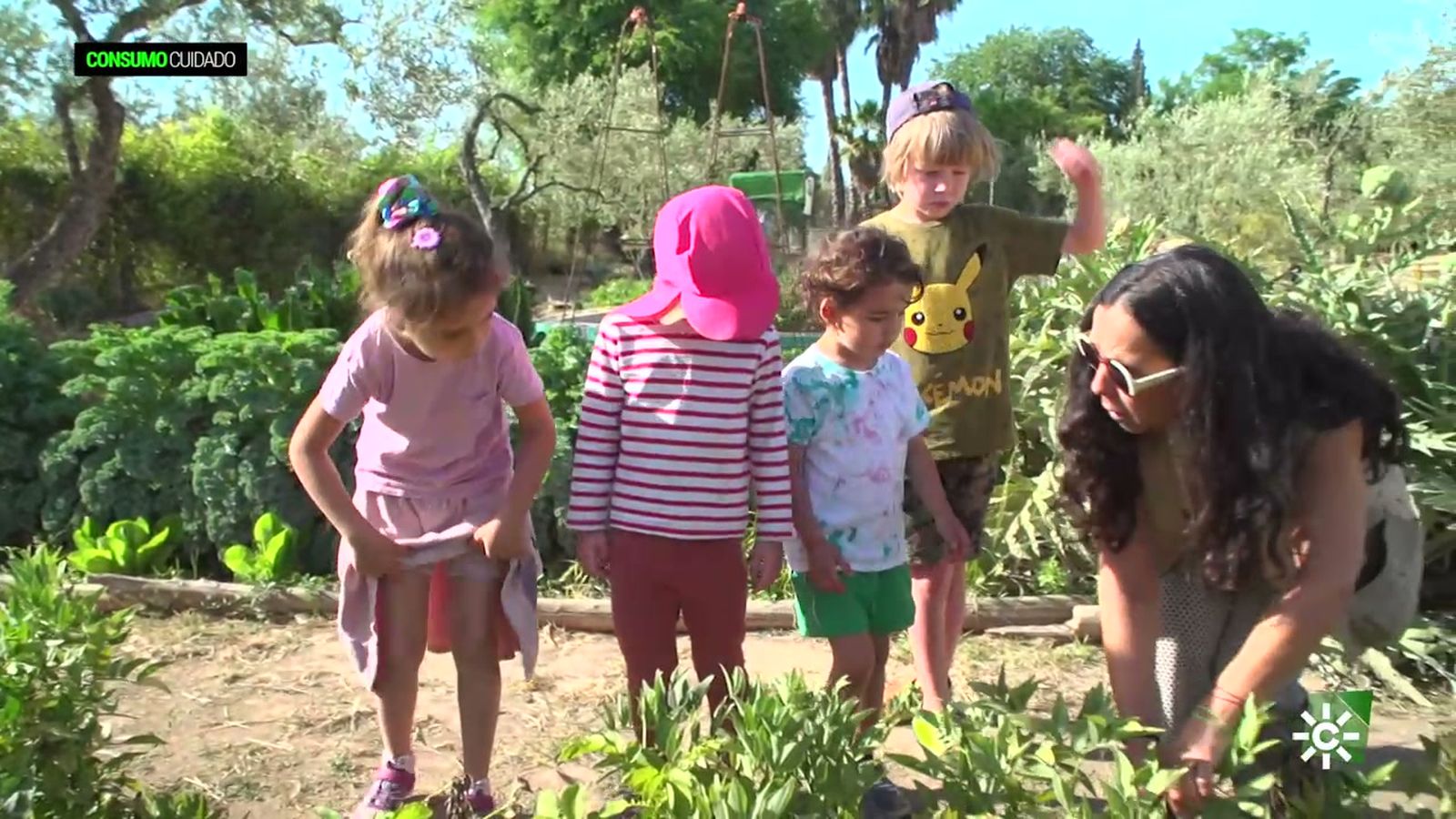 Granja escuela, la mejor opción para los peques en las vacaciones de verano