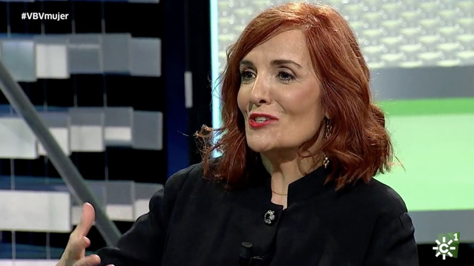 entrevista elvira lindo